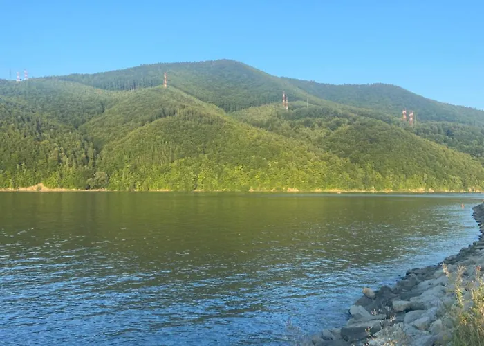 Nad Jeziorem Apartamento Międzybrodzie Bialskie